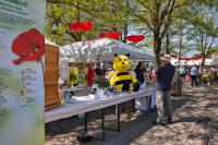 Honig und Bienen am Gartentag in der Lokwelt