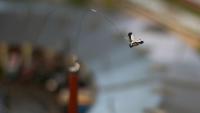Lokwelt Freilassing in Spur Z Maßstab 1:220 Storch